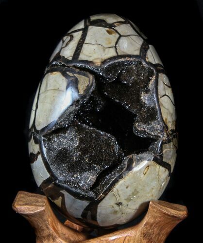 Septarian Dragon Egg Geode - Black Crystals #36714
